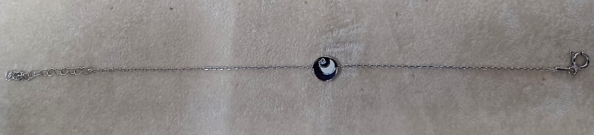 D13-4369